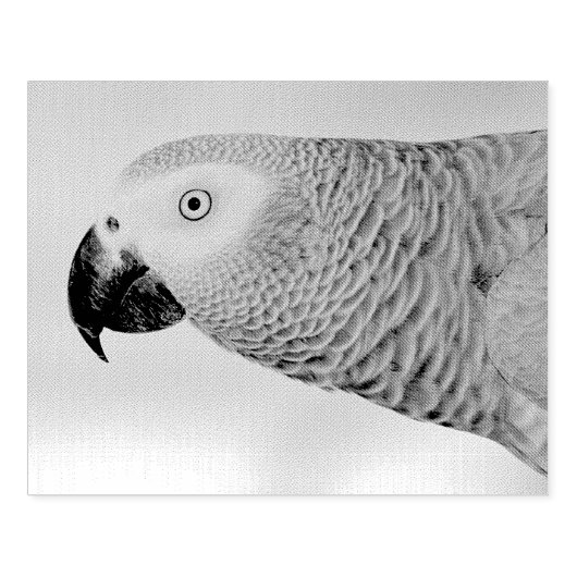 ゴージャスなアフリカ産グレイのオウム ラバースタンプ (インプリント)