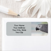 ゴージャスなアフリカ産グレイのオウム ラベル (インサイチュ)