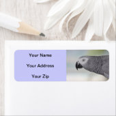 ゴージャスなアフリカ産グレイのオウム ラベル (インサイチュ)