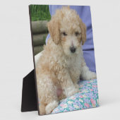 ゴージャスなカバポワン子犬あなたの方法を見て、孤立 フォトプラーク (側面)