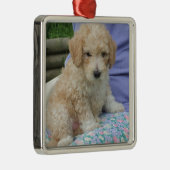 ゴージャスなカバポワン子犬あなたの方法を見て、孤立 メタルオーナメント (右)