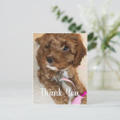 ゴージャスなコックパプピーサンキューカード ポストカード (スタンド正面)