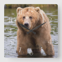 ゴージャスなコディアックブラウンベア スクエア壁時計