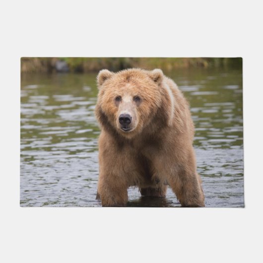 ゴージャスなコディアックブラウンベア ドアマット (正面)
