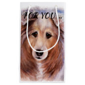 ゴージャスなコリー スモールペーパーバッグ (正面)