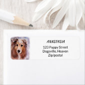 ゴージャスなコリー ラベル (インサイチュ)