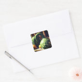 ゴージャスなジャイアントグルズ自然 スクエアシール (封筒)