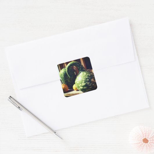 ゴージャスなジャイアントグルズ自然 スクエアシール (封筒)