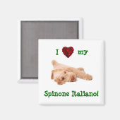 ゴージャスなスピノンの子犬lを搭載した磁石 マグネット (正面/裏面)