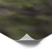 ゴージャスなチーター美しい猫の写真ポスター ポスター (角)