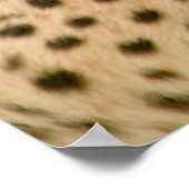 ゴージャスなチーター美しい猫の写真ポスター ポスター (角)