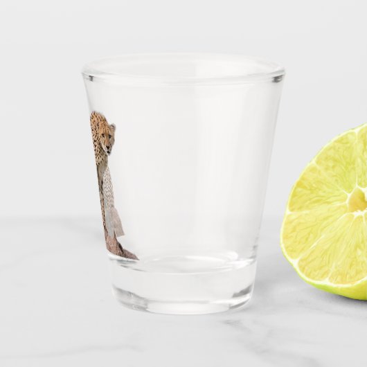 ゴージャスなチーター美しい猫写真 ショットグラス (右)