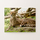 ゴージャスなチーター美しい猫写真 ジグソーパズル (横)