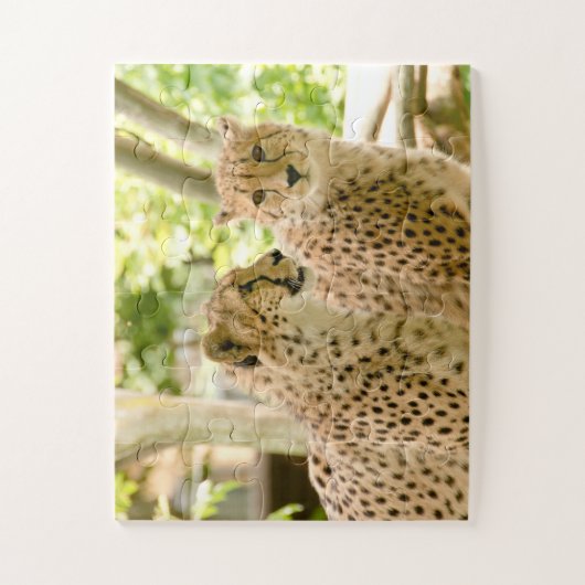 ゴージャスなチーター美しい猫写真 ジグソーパズル (縦)