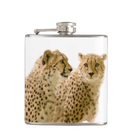 ゴージャスなチーター美しい猫写真 フラスク