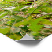 ゴージャスなチーター美しい猫写真 ポスター (角)