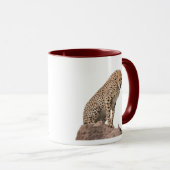 ゴージャスなチーター美しい猫写真 マグカップ (正面右)