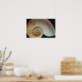 ゴージャスなナウチラスの貝殻 ポスター (キッチン)