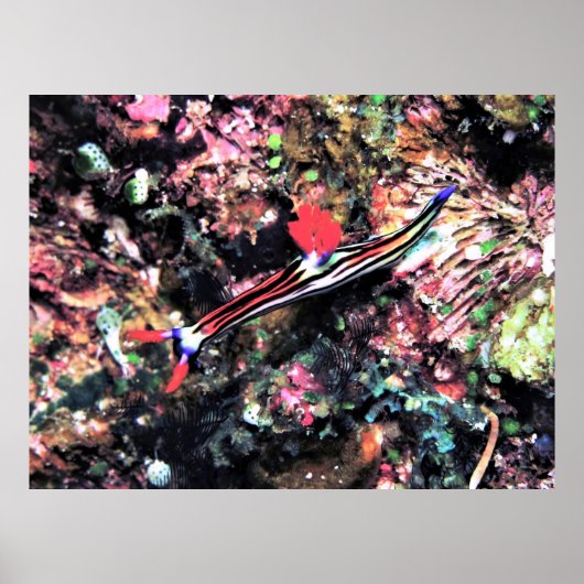 ゴージャスなヌディ ポスター (正面)