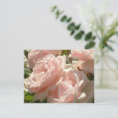 ゴージャスなバラはがき ポストカード (スタンド正面)