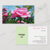 ゴージャスなピンクのバラの花のプロフェッショナル写真 名刺 (正面/裏面)