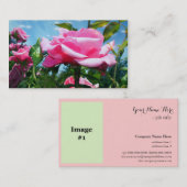 ゴージャスなピンクのバラの花のプロフェッショナル写真 名刺 (正面/裏面)