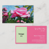 ゴージャスなピンクのバラの花のプロフェッショナル写真 名刺 (正面/裏面)