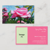 ゴージャスなピンクのバラの花のプロフェッショナル写真 名刺 (正面/裏面)