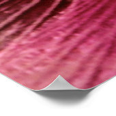 ゴージャスなピンクのホックフラワー ポスター (角)