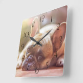 ゴージャスなフランスのブルドッグが横たわっていた スクエア壁時計 (傾斜)