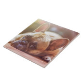 ゴージャスなフランスのブルドッグが横たわっていた タイル (側面)