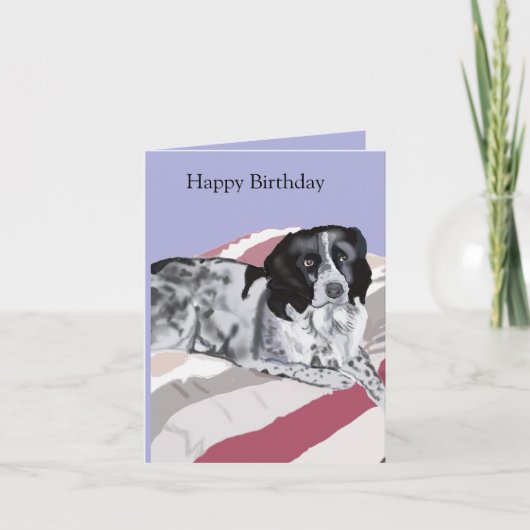 ゴージャスなブラック＆ホワイトのスプリンガー・スパニエル カード (正面)