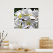 ゴージャスなプルメリアポスター ポスター (キッチン)