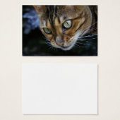 ゴージャスなベンガル猫 (正面&裏面)