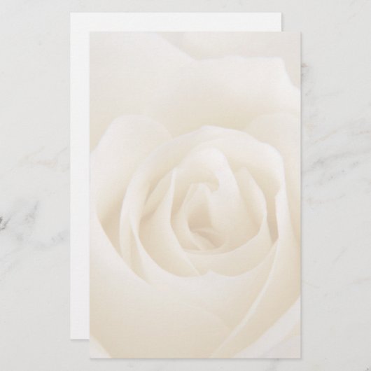 ゴージャスなホワイトクリームバラ文具 便箋 (正面/裏面)