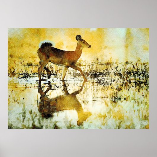 ゴージャスなホワイトテールディアドー絵画ウォーター ポスター (正面)