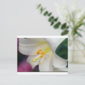 ゴージャスなユリ ポストカード (スタンド正面)