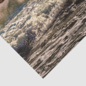 ゴージャスなランニングスタリオン海波 薄葉紙 (詳細)