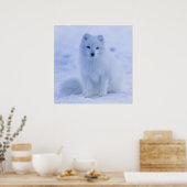 ゴージャスな北極狐 ポスター (キッチン)