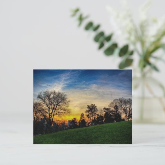 ゴージャスな夕日がニューヨーク州セントラルパーク ポストカード (スタンド正面)