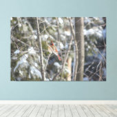 ゴージャスな女性(鳥)ショウジョウコウカンチョウ キャンバスプリント (インサイチュ (ウッドフロア))