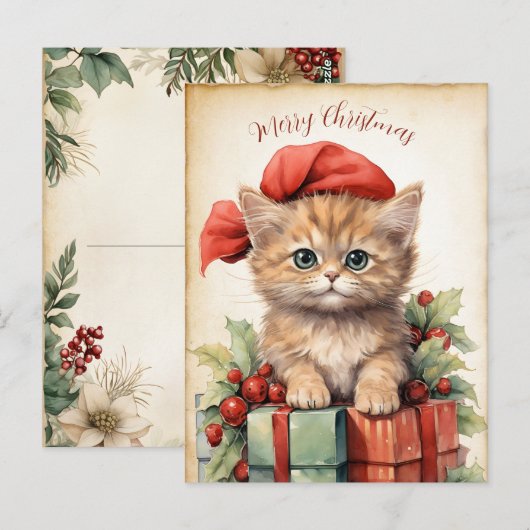 ゴージャスな子猫のクリスマス ポストカード (正面/裏面)