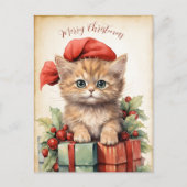 ゴージャスな子猫のクリスマス ポストカード (正面)