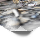 ゴージャスな小さなネズミ フォトプリント            (角)