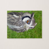 ゴージャスな小さなフクロウ ジグソーパズル (横)