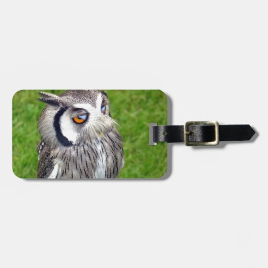 ゴージャスな小さなフクロウ ラゲッジタグ (正面横)