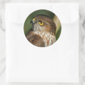 ゴージャスな来鋭い鷹のカリン ラウンドシール (バッグ)