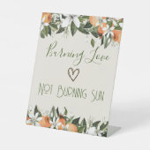 ゴージャスな桃SunScreen Station Burn 台座サイン (正面)