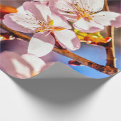 ゴージャスな桜 ラッピングペーパー (角)