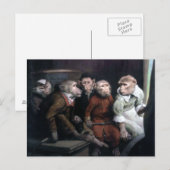 ゴージャスな猿たち５匹 ポストカード (正面/裏面)